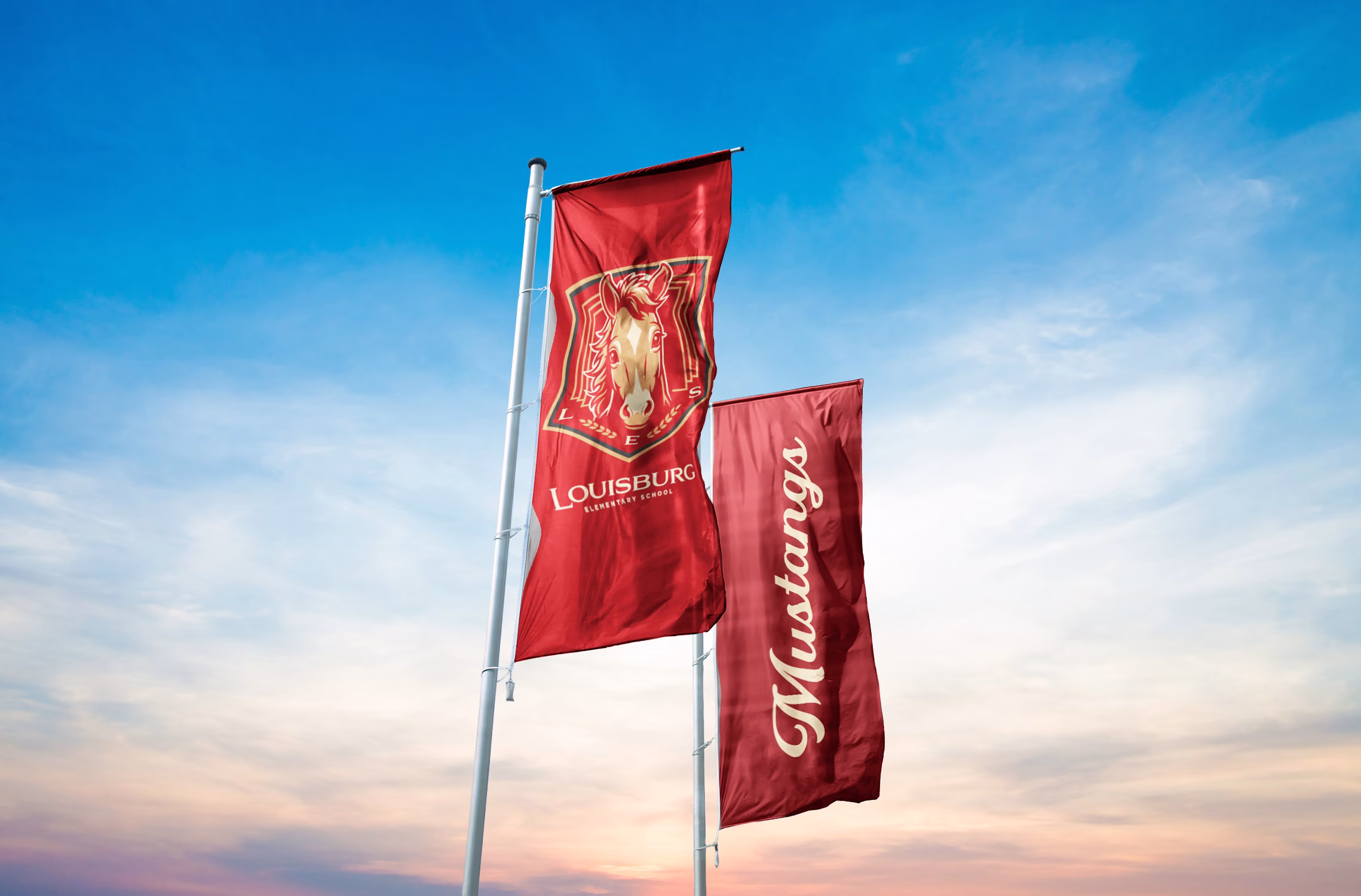 Louisburg Elementary School logo flag mockup