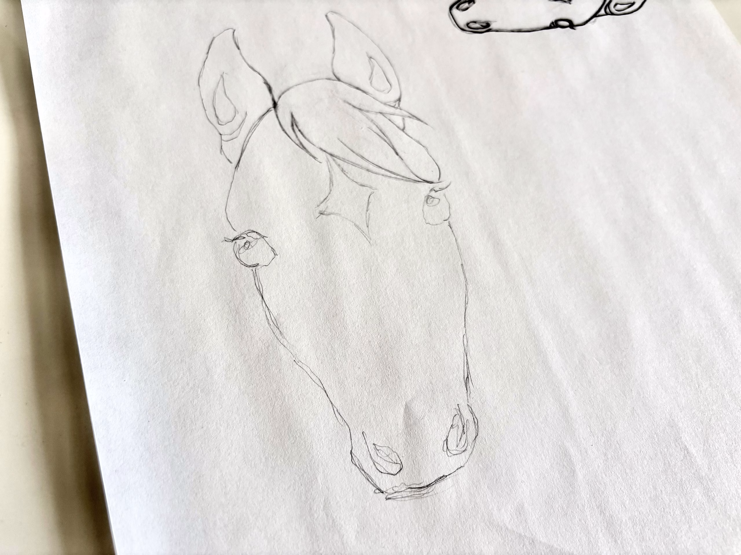 Sketch of Louisburg elementary logo